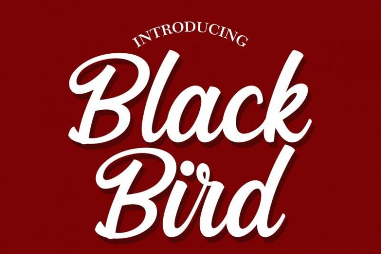Black Bird Script Font - Dafont Free