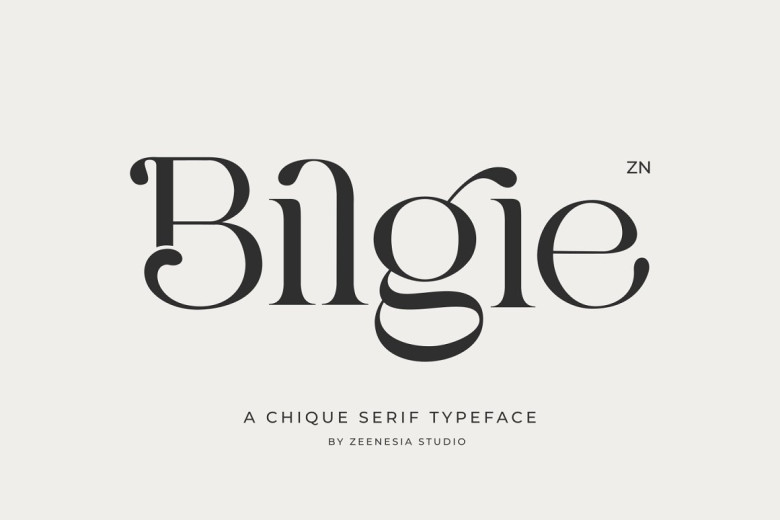 Bilgie Font - Dafont Free